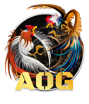 Cockfighting AOG